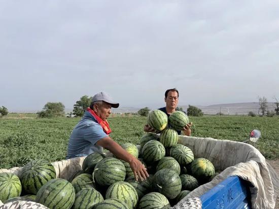 广州白云区吃瓜事件视频,一场引发热议的街头冲突纪实
