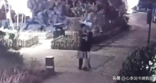 博乐吃瓜事件视频,一场网络狂欢背后的真相揭秘