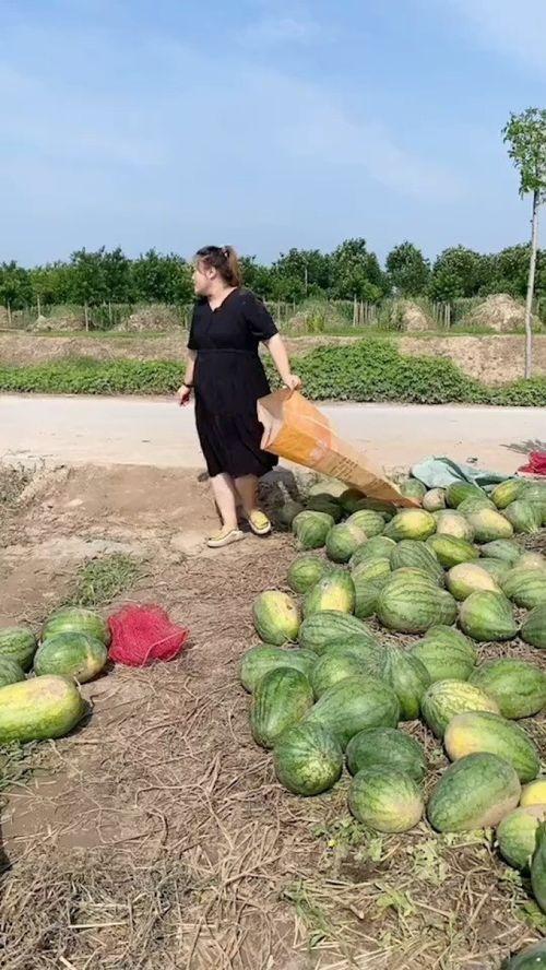 农村吃瓜视频,揭秘乡村生活趣味瞬间