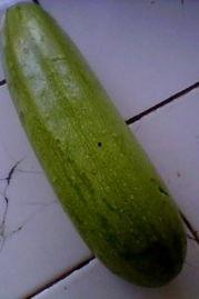 笋瓜吃瓜视频网站